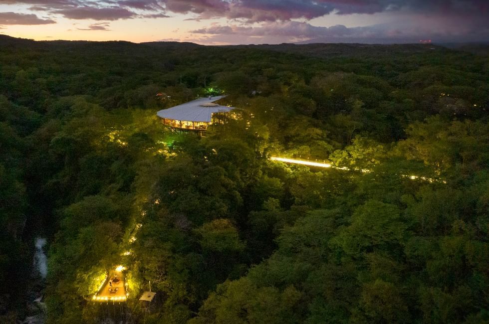 A lodge on top of a hill in a rainforest