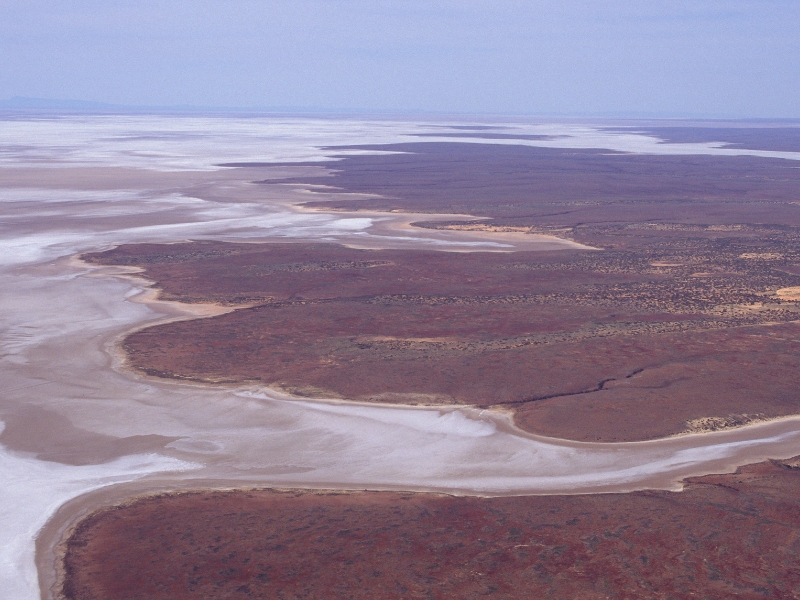 Dry lake with pink hues and reddish brown vegetation along the land. 