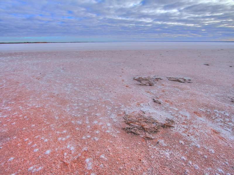 Pink dry salt in a lake basin. 