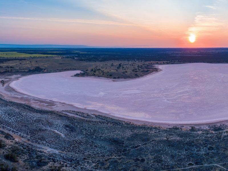 Pink lake with sunset surrounded by thin vegetation. 