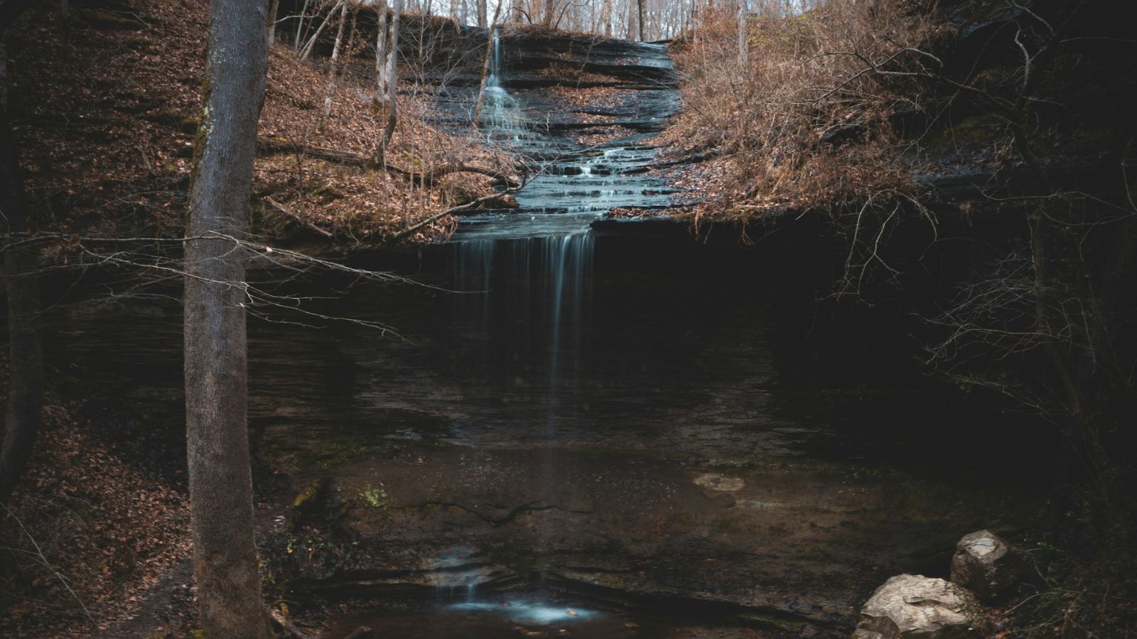 A small creek in the middle of the forest with a slight drop from above to a tiny pond. 