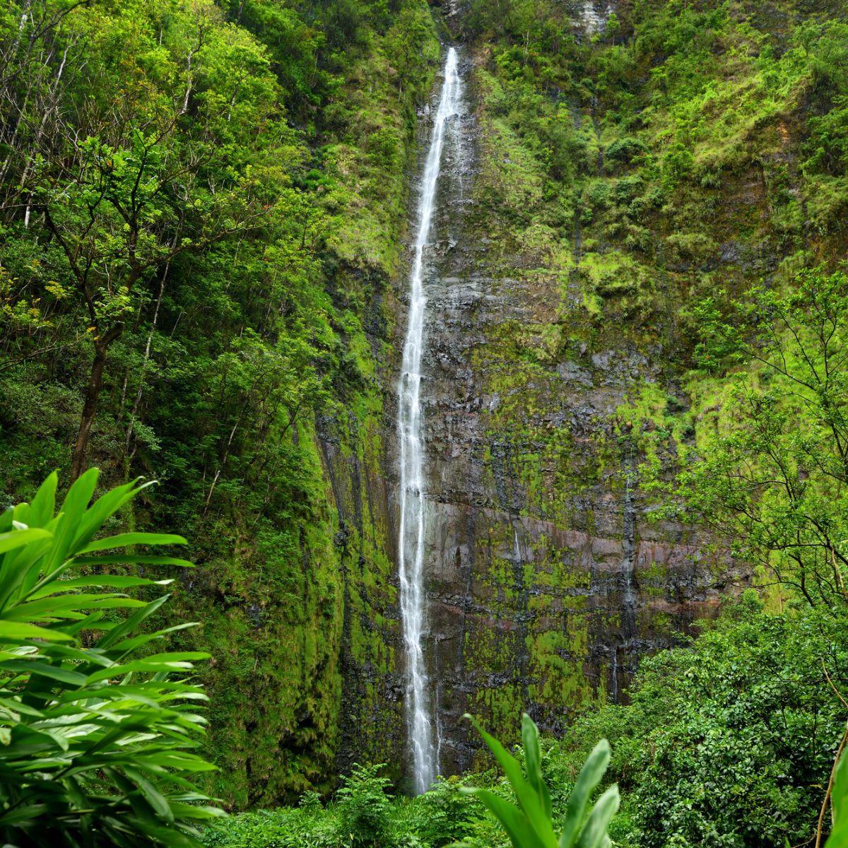 Hawaii, Maui, Waimoku Falls