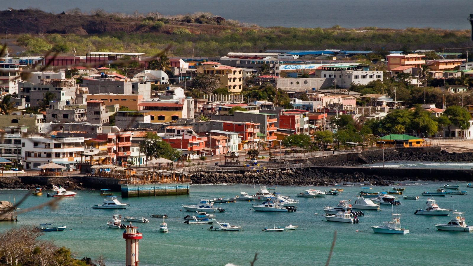 Small town with colorful houses and a harbour full of boats. 