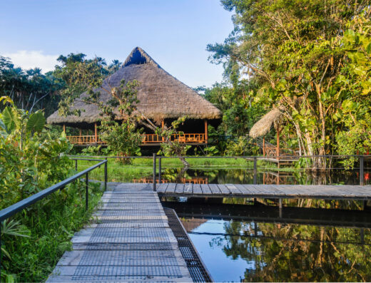 The lodge