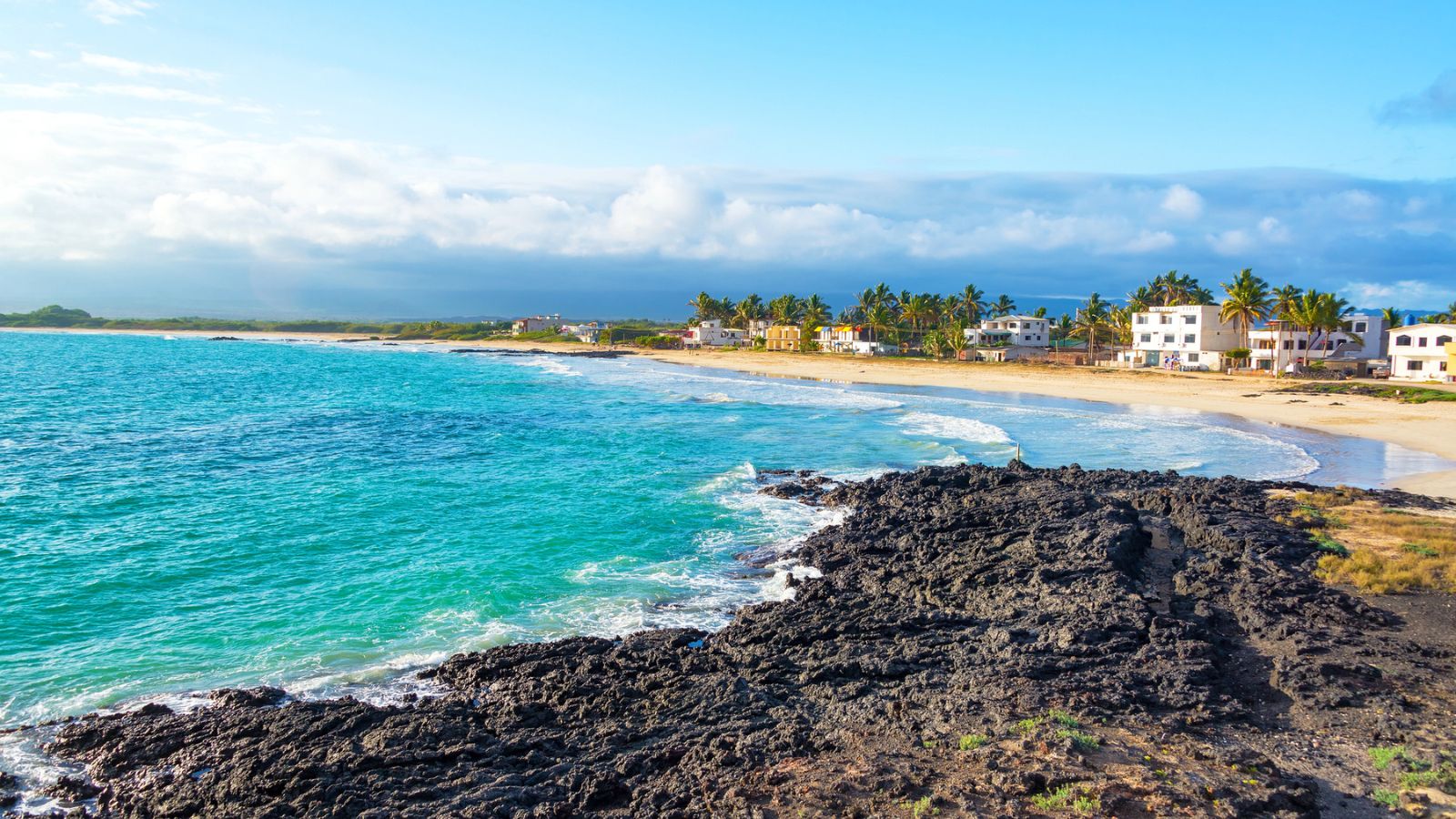 Sandy beach with black lava rocks and white houses. 