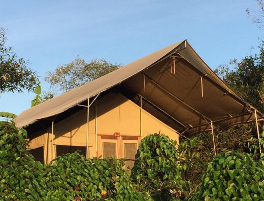 Tent