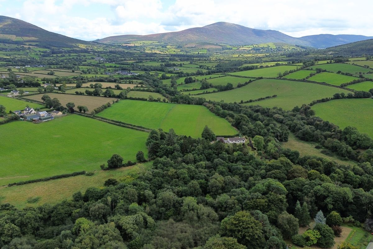 Green pastures and demureness in Ireland