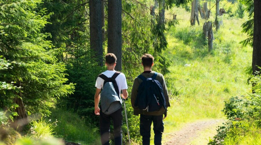 Why America’s Greenest States Still Struggle With Mental Health