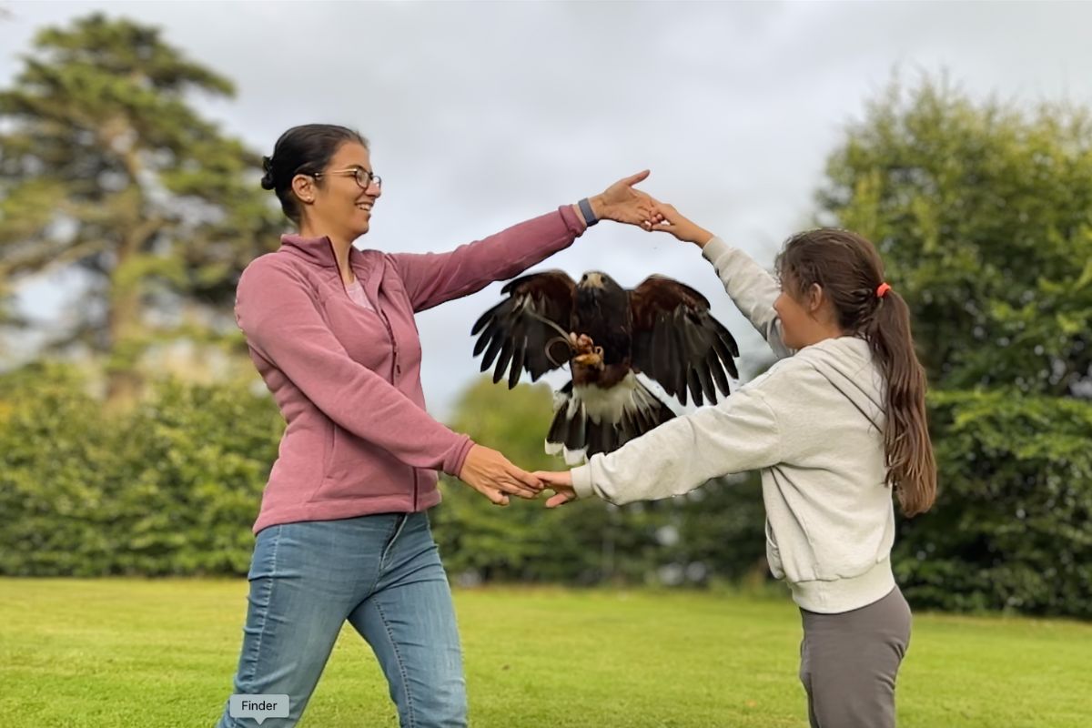 Two people holding hands while forming a circle. A hawk is flying through the circle.