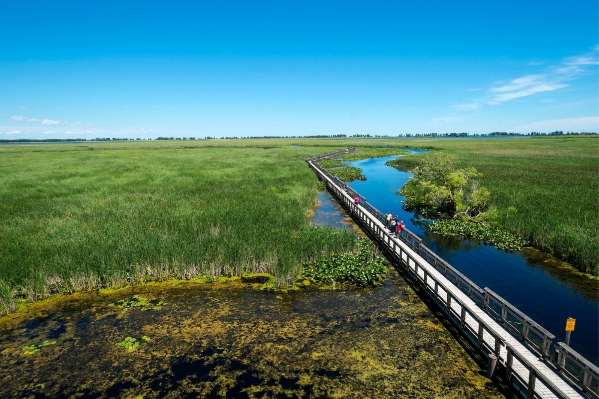 Point Peele National Park