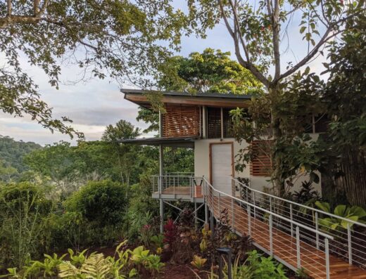 Canopy suites
