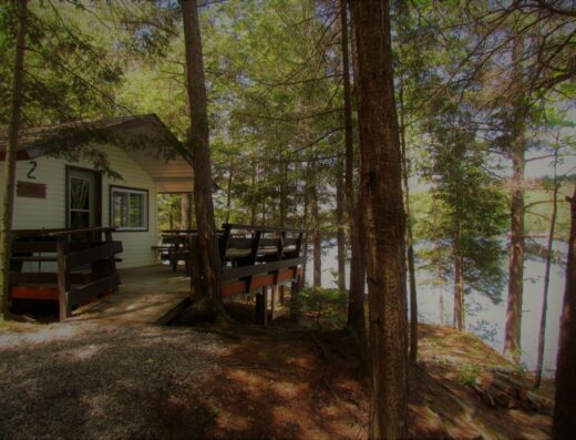 Cabin with terrace