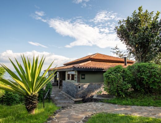 One of the bandas